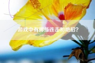 游戏中有哪些连击和绝招？