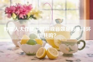 野蛮人大作战中的游戏音效是否支持环境共鸣？