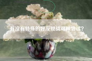 有没有特殊的好友挑战可以尝试？