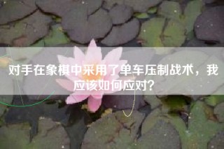 对手在象棋中采用了单车压制战术，我应该如何应对？