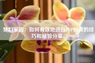 梦幻家园：如何有效地进行PVP对战的技巧和经验分享。