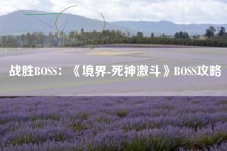战胜BOSS：《境界-死神激斗》BOSS攻略