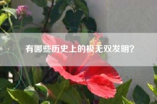 有哪些历史上的极无双发明？