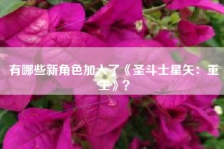 有哪些新角色加入了《圣斗士星矢：重生》？