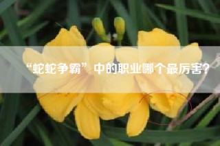 “蛇蛇争霸”中的职业哪个最厉害？