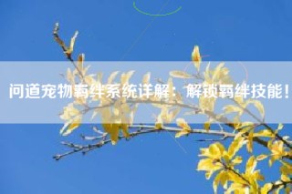 问道宠物羁绊系统详解：解锁羁绊技能！