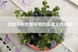 战胜不同地图环境的英魂之刃攻略