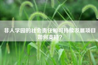 非人学园的社会责任和可持续发展项目如何支持？