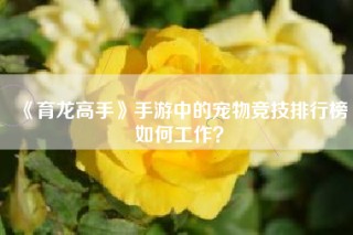 《育龙高手》手游中的宠物竞技排行榜如何工作？