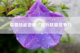 联盟技能管理：提升联盟竞争力