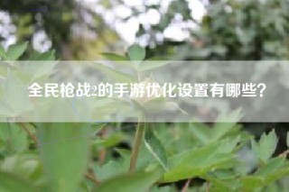 全民枪战2的手游优化设置有哪些？
