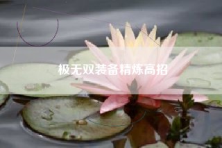 极无双装备精炼高招