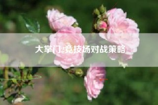 大掌门2竞技场对战策略
