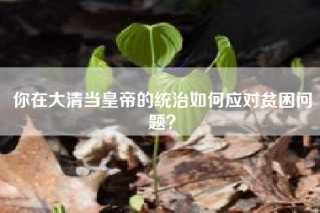 你在大清当皇帝的统治如何应对贫困问题？