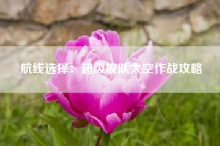 航线选择：超级舰队太空作战攻略