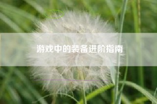 游戏中的装备进阶指南