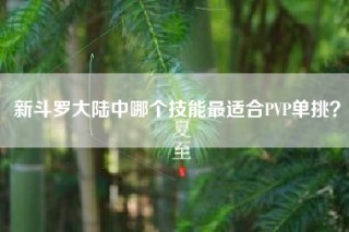 新斗罗大陆中哪个技能最适合PVP单挑？