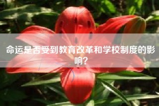 命运是否受到教育改革和学校制度的影响？