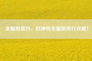 全服拍卖行，妖神传全服拍卖行攻略！