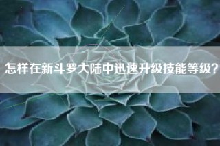 怎样在新斗罗大陆中迅速升级技能等级？