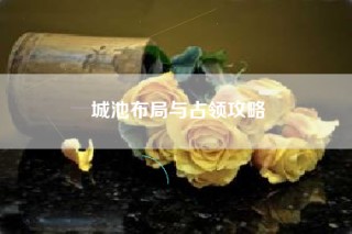城池布局与占领攻略