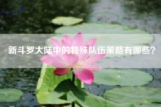新斗罗大陆中的特殊队伍策略有哪些？