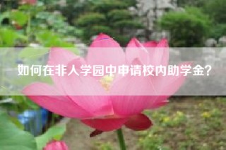 如何在非人学园中申请校内助学金？