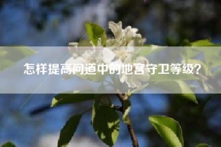 怎样提高问道中的地宫守卫等级？