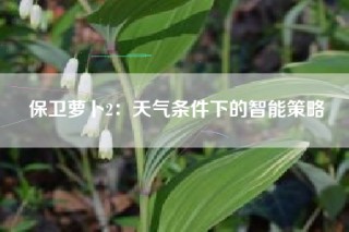 保卫萝卜2：天气条件下的智能策略
