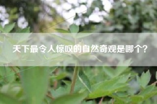 天下最令人惊叹的自然奇观是哪个？