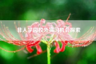 非人学园校外实习机会探索