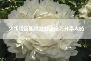 火线精英版精准射击技巧分享攻略