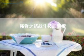 强者之路战斗技能解析