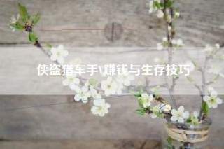 侠盗猎车手V赚钱与生存技巧