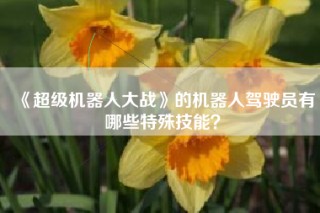 《超级机器人大战》的机器人驾驶员有哪些特殊技能？