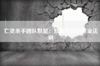 亡灵杀手团队默契：默契合作的黄金法则