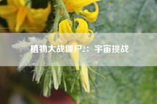 植物大战僵尸2：宇宙挑战