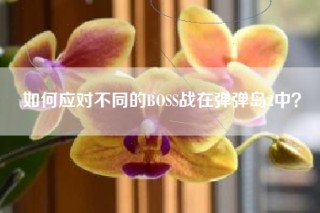 如何应对不同的BOSS战在弹弹岛2中？