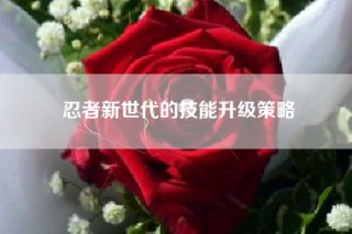 忍者新世代的技能升级策略