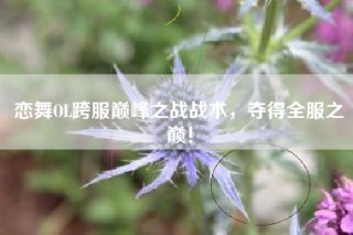 恋舞OL跨服巅峰之战战术，夺得全服之巅！