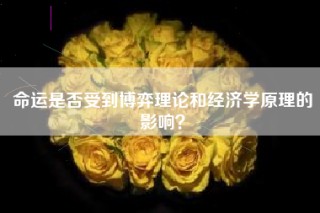 命运是否受到博弈理论和经济学原理的影响？