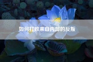 如何打败来自内部的反叛