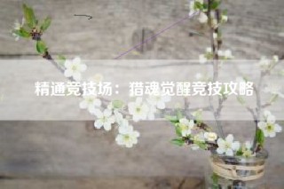 精通竞技场：猎魂觉醒竞技攻略