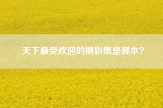 天下最受欢迎的摄影集是哪本？