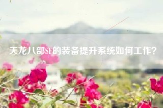 天龙八部SF的装备提升系统如何工作？