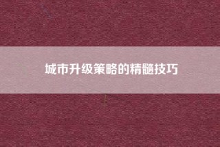 城市升级策略的精髓技巧