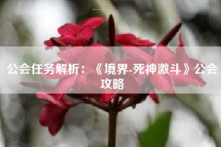 公会任务解析：《境界-死神激斗》公会攻略