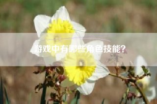游戏中有哪些角色技能？