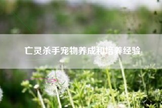 亡灵杀手宠物养成和培养经验