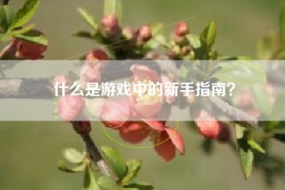 什么是游戏中的新手指南？